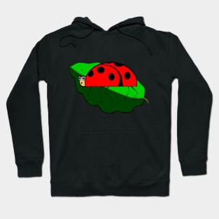 Lady Bug on a Leaf Hoodie